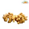 My Online Vipani Ginger