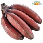 My Online Vipani Red Banana