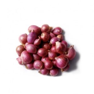 shallot Small Onion