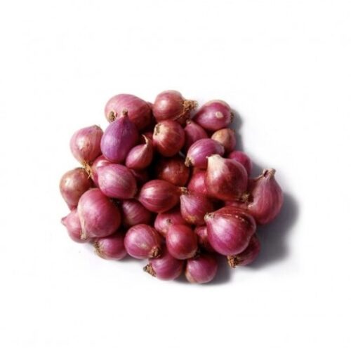 shallot Small Onion