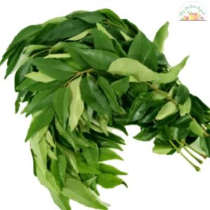 Curry Leaves 1 Bunch