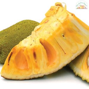 Ripe Jackfruit 1kg Piece