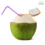 Young Coconut Each