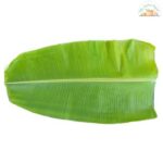 Banana Leaf Each