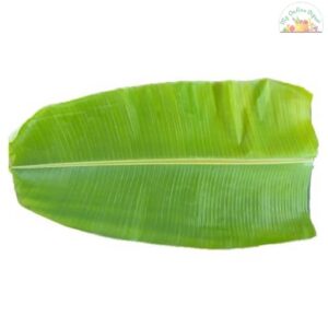 Banana Leaf Each