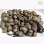 Fresh Koorka 250gm