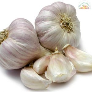 Garlic 100GM