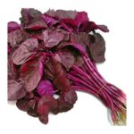 Red Spinach Chuvanna Cheera