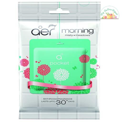 Godrej Aer Pocket Bathroom Air Fragrance – Morning Misty Meadows 10g