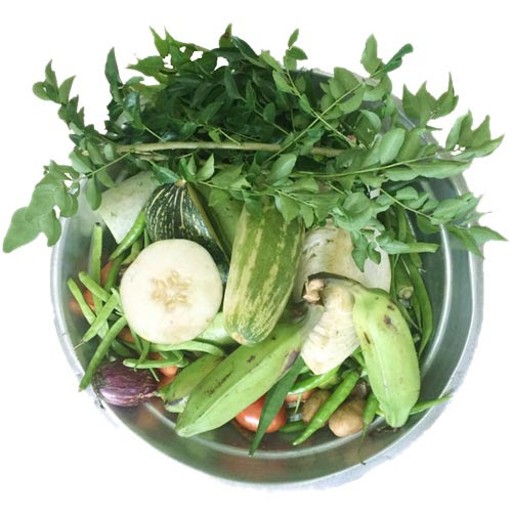 Vegetable Kit Rs 130