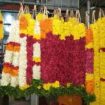 Navratri Arali Poovu Haaram White Garland