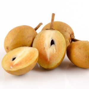 Chikoo Sapota