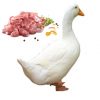 Vigova Duck Meat