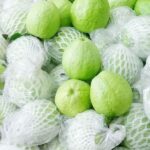 Guava Thailand