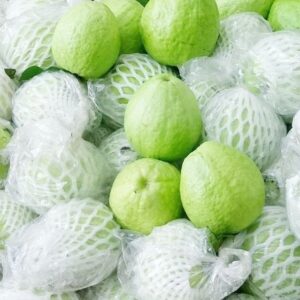 Guava Thailand