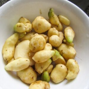 Fresh Peeled Koorka