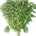 Neem