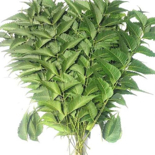 Neem