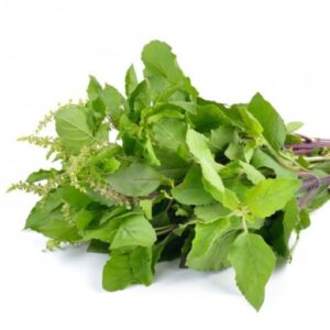 holy basil tulsieaves