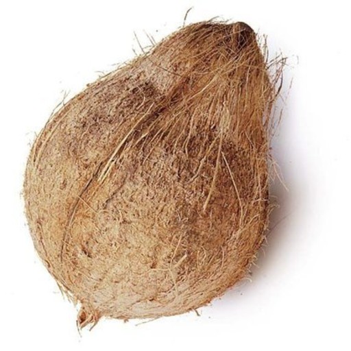 Coconut For Pooja