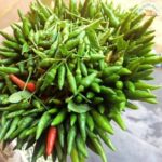 Kanthari Chilli 35 gm