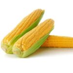 Sweet Corn Pack Of 2
