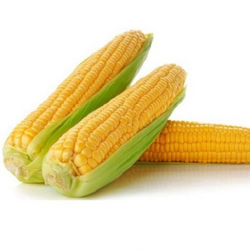 Sweet Corn Pack Of 2