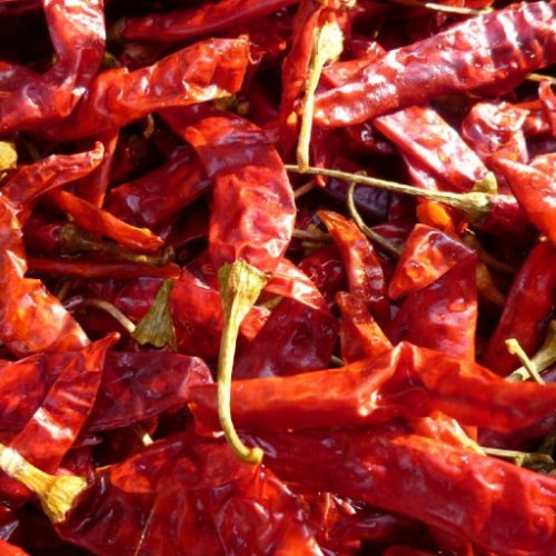 Red Chilli