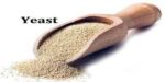 yeast