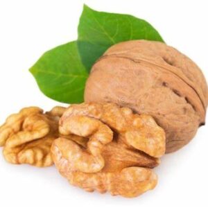 walnut