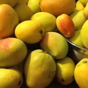 sapota mango