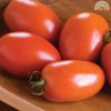 Tomato My Online Vipani