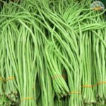 Long Beans Valli Payar My Online Vipani