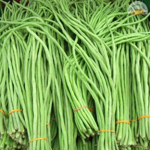 Long Beans Valli Payar My Online Vipani