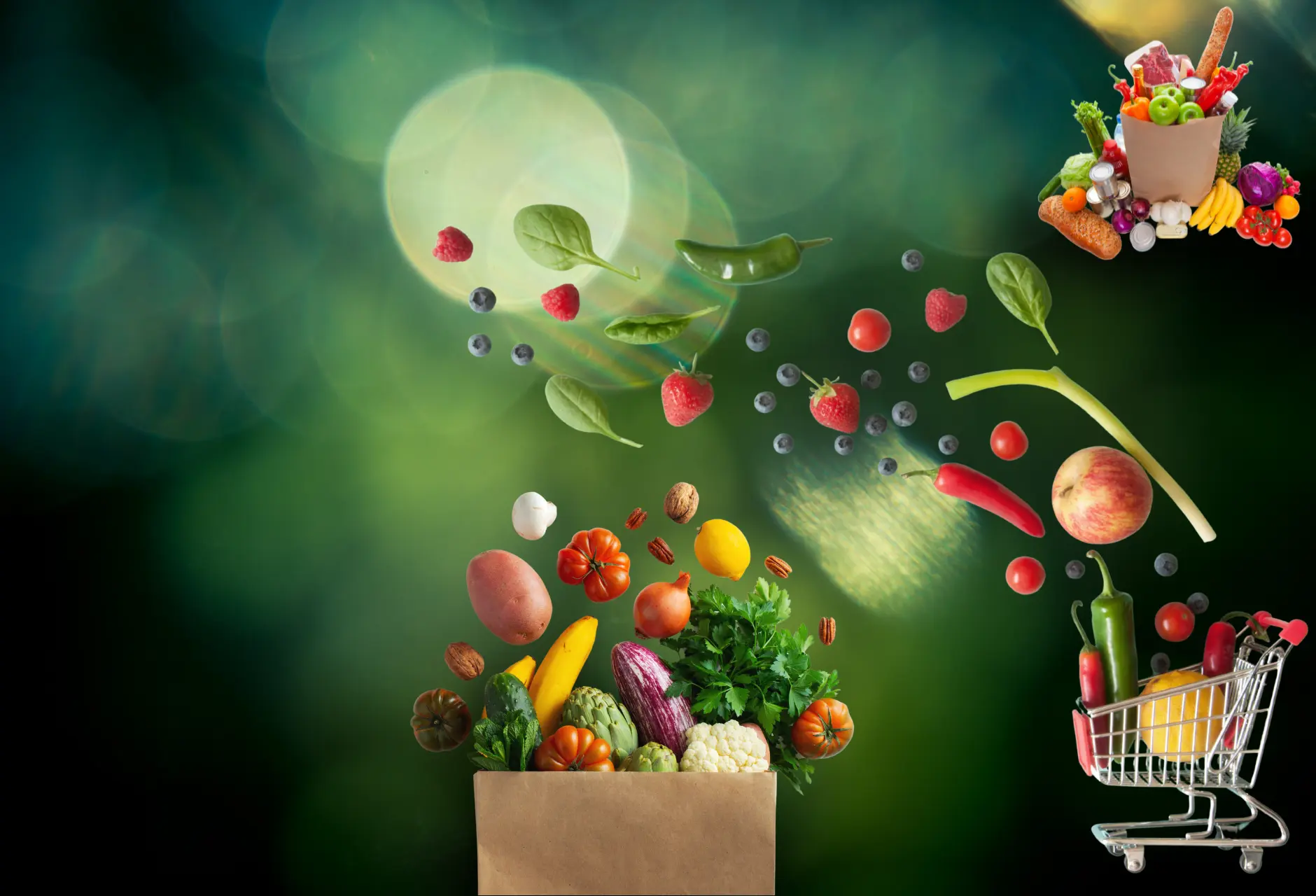 Freshness at your doorstep My Online Vipani