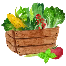 Vegetables